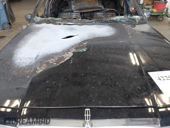 ✅ 1994 Lincoln Town Car Signature • VIN: 1LNLM82W6RY701203 • Lot: 42292477. Wystawiony na IAAI z przebiegiem Nie podano. Bezpłatny archiwum sprzedaży aukcyjnych z USA i szczegółowy raport historii pojazdu na DreamBid. Zdjęcie 10.