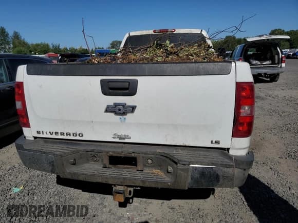✅ 2009 Chevrolet Silverado 2500HD Work Truck • VIN: 1GCHC49KX9E110110 • Лот: 66218465. Опубликован ранее на Copart с пробегом 192 801 миль. Бесплатный доступ к архиву аукционных продаж из США и подробный отчёт об истории автомобиля на DreamBid. Изображение 6.