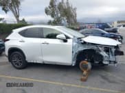 ✅ 2024 Lexus NX 250 • VIN: JTJADCAZ4R2013677 • Лот: 41548654. Опубликован ранее на IAAI с пробегом 24 564 миль. Бесплатный доступ к архиву аукционных продаж из США и подробный отчёт об истории автомобиля на DreamBid. Изображение 14.