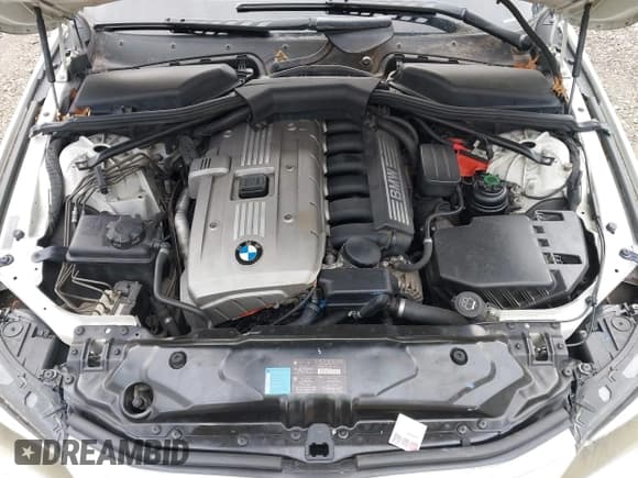 ✅ 2007 BMW 5 Series 530i • VIN: WBANE73517CM50110 • Lot: 43776328. Wystawiony na IAAI z przebiegiem 163 573 mil. Bezpłatny archiwum sprzedaży aukcyjnych z USA i szczegółowy raport historii pojazdu na DreamBid. Zdjęcie 10.