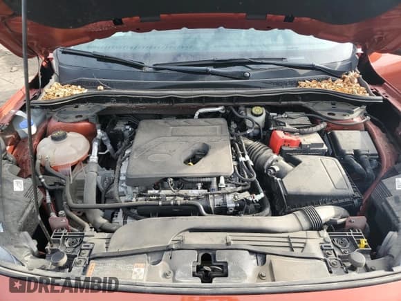 ✅ 2020 Ford Escape SE • VIN: 1FMCU9G66LUA73981 • Лот: 87229695. Опубликован ранее на Copart с пробегом 45 356 миль. Бесплатный доступ к архиву аукционных продаж из США и подробный отчёт об истории автомобиля на DreamBid. Изображение 11.