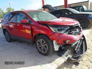 ✅ 2022 Honda CR-V EX-L • VIN: 5J6RW1H81NA022929 • Lot: 43523523. Wystawiony na IAAI z przebiegiem 39 566 mil. Bezpłatny archiwum sprzedaży aukcyjnych z USA i szczegółowy raport historii pojazdu na DreamBid. Zdjęcie 1.