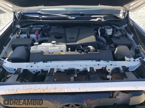 ✅ 2024 Toyota Tundra SR5 • VIN: 5TFLA5DB1RX209450 • Lot: 81627945. Wystawiony na Copart z przebiegiem 9 284 mil. Bezpłatny archiwum sprzedaży aukcyjnych z USA i szczegółowy raport historii pojazdu na DreamBid. Zdjęcie 11.