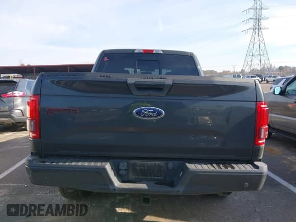 ✅ 2016 Ford F-150 XLT • VIN: 1FTEW1EG1GFD38952 • Lot: 43672491. Listed on IAAI with 108,894 mi. Free auction sales archive from the USA and detailed vehicle history report at DreamBid. Image 16.