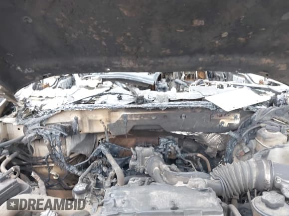 ✅ 2010 Ford F-150 XL • VIN: 1FTEX1EW1AFD20155 • Лот: 42483398. Опубликован ранее на IAAI с пробегом Не указан. Бесплатный доступ к архиву аукционных продаж из США и подробный отчёт об истории автомобиля на DreamBid. Изображение 10.