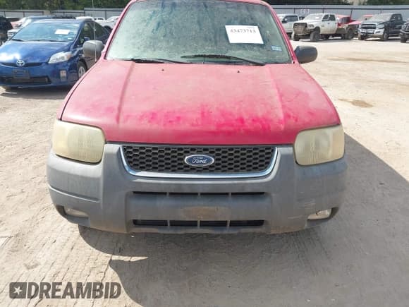 ✅ 2001 Ford Escape XLT • VIN: 1FMYU031X1KF93444 • Лот: 43473713. Опубликован ранее на IAAI с пробегом 254 392 миль. Бесплатный доступ к архиву аукционных продаж из США и подробный отчёт об истории автомобиля на DreamBid. Изображение 6.