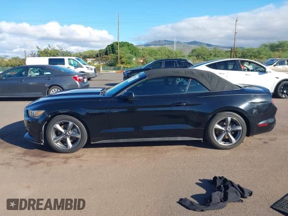 ✅ 2017 Ford Mustang V6 • VIN: 1FATP8EM4H5229028 • Lot: 40808873. Wystawiony na IAAI z przebiegiem 66 481 mil. Bezpłatny archiwum sprzedaży aukcyjnych z USA i szczegółowy raport historii pojazdu na DreamBid. Zdjęcie 15.