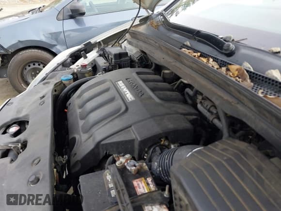 ✅ 2006 Honda Odyssey EX-L • VIN: 5FNRL38636B456707 • Lot: 43824746. Listed on IAAI with 300,979 mi. Free auction sales archive from the USA and detailed vehicle history report at DreamBid. Image 10.