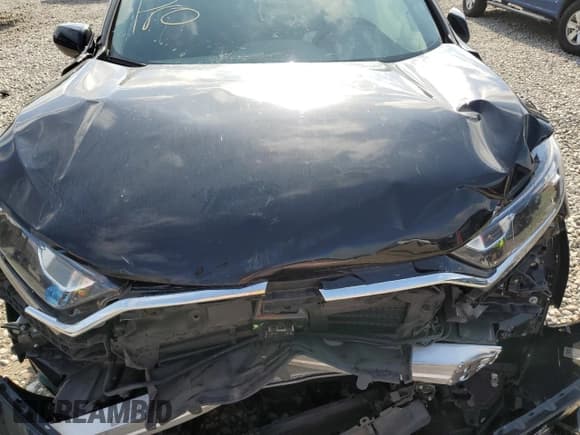 ✅ 2022 Honda CR-V Special Edition • VIN: 7FARW2H77NE006121 • Lot: 56107855. Listed on Copart with 52,915 mi. Free auction sales archive from the USA and detailed vehicle history report at DreamBid. Image 12.