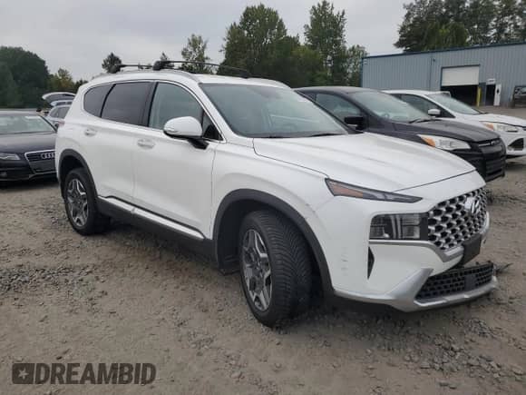 2023 Hyundai Santa Fe SEL Convenience with VIN KM8S6DA24PU091156, listed as a Copart auction lot 80410565 with 25,138 mi miles and Salvage title. Bid and sale history available at DreamBid. Image 4.