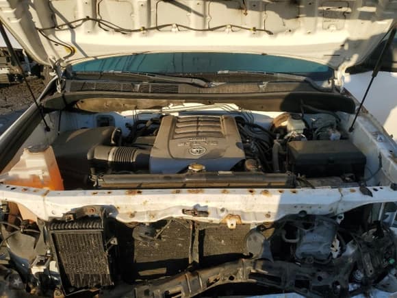 ✅ 2009 Toyota Tundra SR5 • VIN: 5TFBV54199X088545 • Лот: 86520415. Опубликован ранее на Copart с пробегом 125 129 миль. Бесплатный доступ к архиву аукционных продаж из США и подробный отчёт об истории автомобиля на DreamBid. Изображение 11.