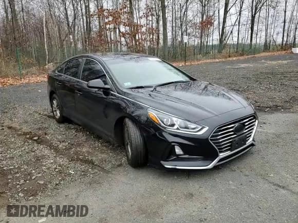✅ 2018 Hyundai Sonata SE • VIN: 5NPE24AF1JH606244 • Lot: 68669662. Listed on Copart with 57,130 mi. Free auction sales archive from the USA and detailed vehicle history report at DreamBid. Image 10.