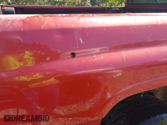 ✅ 1997 Dodge 1500 • VIN: 3B7HF13Y5VG803124 • Lot: 43520770. Wystawiony na IAAI z przebiegiem 250 663 mil. Bezpłatny archiwum sprzedaży aukcyjnych z USA i szczegółowy raport historii pojazdu na DreamBid. Zdjęcie 12.