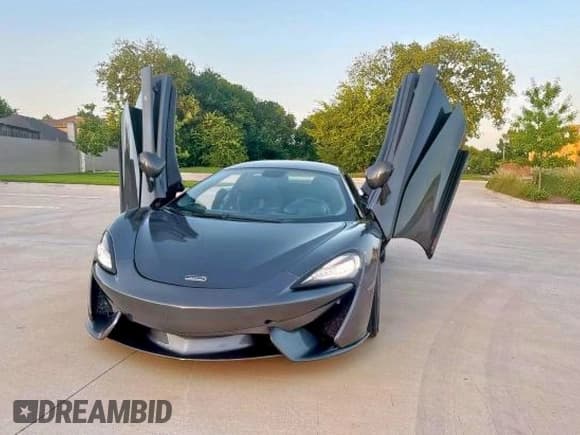 ✅ 2019 McLaren 570S • VIN: SBM13FAA2KW006251 • Lot: 65014155. Wystawiony na Copart z przebiegiem 10 553 mil. Bezpłatny archiwum sprzedaży aukcyjnych z USA i szczegółowy raport historii pojazdu na DreamBid. Zdjęcie 14.