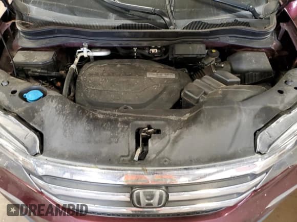 ✅ 2018 Honda Pilot EX-L • VIN: 5FNYF5H66JB017931 • Лот: 73749964. Опубликован ранее на Copart с пробегом Не указан. Бесплатный доступ к архиву аукционных продаж из США и подробный отчёт об истории автомобиля на DreamBid. Изображение 12.