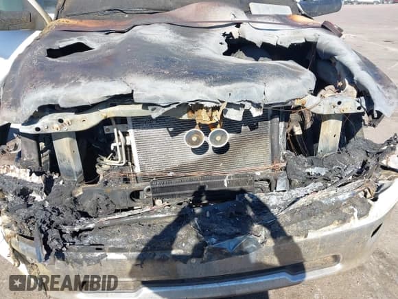 ✅ 2010 Dodge 1500 SLT • VIN: 1D7RV1CT0AS212641 • Lot: 43496349. Listed on IAAI with Not provided. Free auction sales archive from the USA and detailed vehicle history report at DreamBid. Image 10.