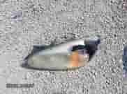 2007 Chevrolet Malibu LS z VIN 1G1ZS57N97F212959, wystawiony jako IAAI lot #42860832 z przebiegiem 177 266 mil mil oraz . Historia ofert i sprzedaży dostępna na DreamBid. Obrazek 12.