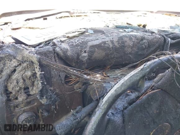 ✅ 2008 Chevrolet Silverado 1500 LS • VIN: 3GCEC13C28G177049 • Лот: 43429683. Опубликован ранее на IAAI с пробегом Не указан. Бесплатный доступ к архиву аукционных продаж из США и подробный отчёт об истории автомобиля на DreamBid. Изображение 7.