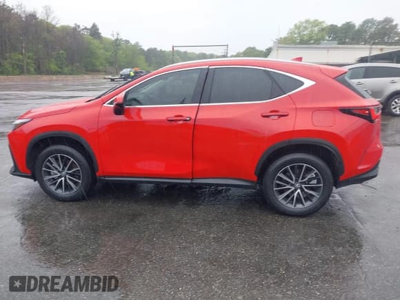 ✅ 2024 Lexus NX 350 Premium • VIN: 2T2GGCEZXRC044024 • Lot: 42278940. Wystawiony na IAAI z przebiegiem 11 388 mil. Bezpłatny archiwum sprzedaży aukcyjnych z USA i szczegółowy raport historii pojazdu na DreamBid. Zdjęcie 14.
