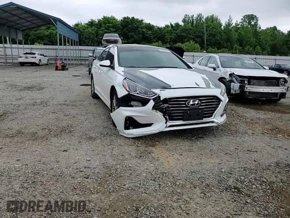 2018 Hyundai Sonata SE с VIN 5NPE24AF3JH646597, выставлен на аукционе Copart как лот 55990555 с пробегом 173 419 миль миль и Списание • Salvage title. История ставок и продаж доступна на DreamBid. Изображение 13.