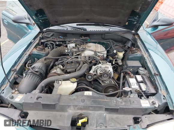 ✅ 1998 Ford Mustang • VIN: 1FAFP4442WF250457 • Lot: 43566860. Wystawiony na IAAI z przebiegiem 89 554 mil. Bezpłatny archiwum sprzedaży aukcyjnych z USA i szczegółowy raport historii pojazdu na DreamBid. Zdjęcie 10.