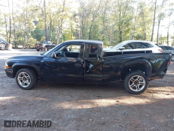 ✅ 2002 Dodge Dakota • VIN: 1B7GL32Z82S650933 • Lot: 43440418. Wystawiony na IAAI z przebiegiem Nie podano. Bezpłatny archiwum sprzedaży aukcyjnych z USA i szczegółowy raport historii pojazdu na DreamBid. Zdjęcie 13.