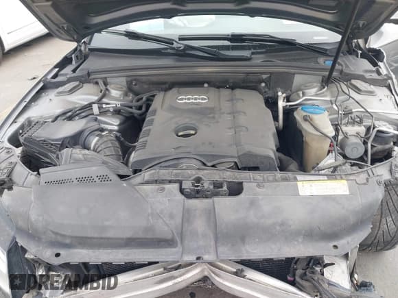 ✅ 2010 Audi A4 Premium Plus • VIN: WAUHFAFL4AN066884 • Lot: 43631878. Listed on IAAI with 164,059 mi. Free auction sales archive from the USA and detailed vehicle history report at DreamBid. Image 10.