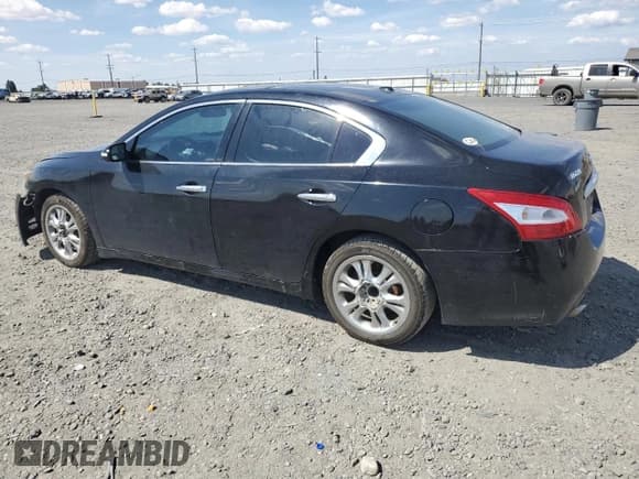 ✅ 2010 Nissan Maxima SV • VIN: 1N4AA5AP5AC872576 • Лот: 69125285. Опубликован ранее на Copart с пробегом 182 961 миль. Бесплатный доступ к архиву аукционных продаж из США и подробный отчёт об истории автомобиля на DreamBid. Изображение 2.