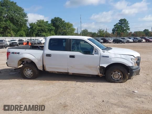 ✅ 2017 Ford F-150 XL • VIN: 1FTEW1EF6HKD01119 • Lot: 42756711. Listed on IAAI with 156,952 mi. Free auction sales archive from the USA and detailed vehicle history report at DreamBid. Image 13.