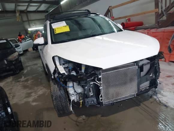 2018 Hyundai Tucson Limited with VIN KM8J33A21JU622755, listed as a IAAI auction lot 41545445 with 53,971 mi miles and . Bid and sale history available at DreamBid. Image 1.