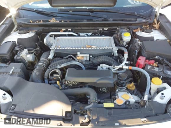 ✅ 2024 Subaru Outback Wilderness • VIN: 4S4BTGUD7R3172331 • Лот: 43662123. Опубликован ранее на IAAI с пробегом 14 208 миль. Бесплатный доступ к архиву аукционных продаж из США и подробный отчёт об истории автомобиля на DreamBid. Изображение 10.