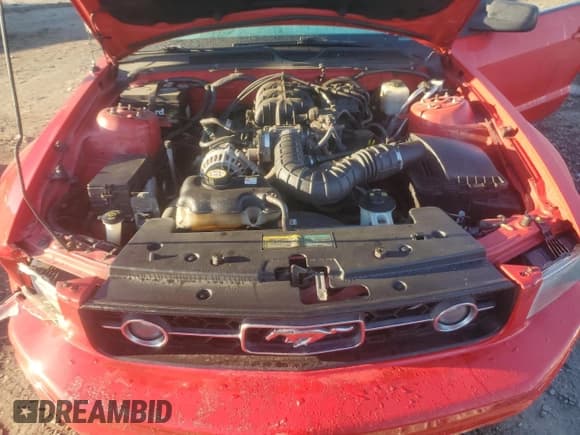 ✅ 2007 Ford Mustang Deluxe • VIN: 1ZVHT84N175251411 • Lot: 87271085. Listed on Copart with 82,989 mi. Free auction sales archive from the USA and detailed vehicle history report at DreamBid. Image 11.