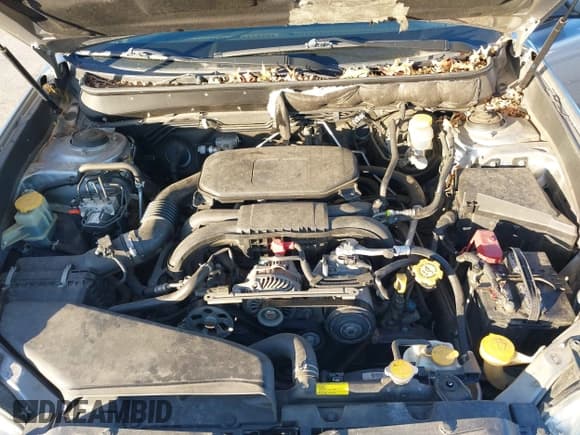 ✅ 2010 Subaru Outback Limited Power Moon • VIN: 4S4BRCKC7A3341107 • Lot: 43695644. Wystawiony na IAAI z przebiegiem 131 389 mil. Bezpłatny archiwum sprzedaży aukcyjnych z USA i szczegółowy raport historii pojazdu na DreamBid. Zdjęcie 10.