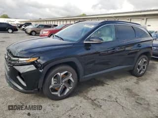 ✅ 2024 Hyundai Tucson Limited • VIN: 5NMJECDE4RH391566 • Lot: 73208984. Wystawiony na Copart z przebiegiem 9 074 mil. Bezpłatny archiwum sprzedaży aukcyjnych z USA i szczegółowy raport historii pojazdu na DreamBid. Zdjęcie 1.