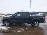 ✅ 2009 Ford F-150 XL • VIN: 1FTPW14V99FB36002 • Lot: 43814812. Listed on IAAI with Not provided. Free auction sales archive from the USA and detailed vehicle history report at DreamBid. Image 14.