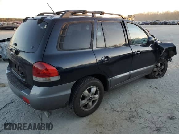 2005 Hyundai Santa Fe GLS with VIN KM8SC73D55U934996, listed as a Copart auction lot 84144294 with 252,402 mi miles and Salvage title. Bid and sale history available at DreamBid. Image 3.