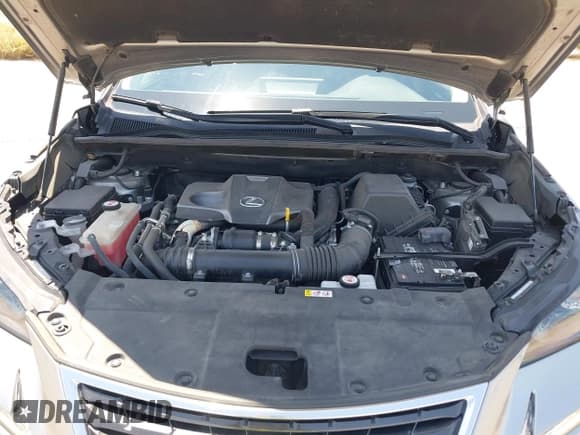 ✅ 2020 Lexus NX 300 • VIN: JTJGARBZ5L2158674 • Лот: 42485669. Опубликован ранее на IAAI с пробегом 57 772 миль. Бесплатный доступ к архиву аукционных продаж из США и подробный отчёт об истории автомобиля на DreamBid. Изображение 10.