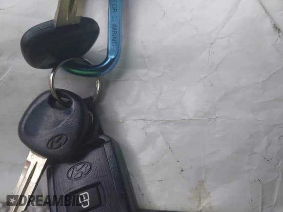 ✅ 2005 Hyundai Santa Fe GLS • VIN: KM8SC13D45U931973 • Lot: 43274730. Listed on IAAI with 184,516 mi. Free auction sales archive from the USA and detailed vehicle history report at DreamBid. Image 11.