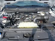 ✅ 2024 Ford F-150 XLT • VIN: 1FTEW3LP2RFB34761 • Lot: 42886840. Wystawiony na IAAI z przebiegiem Nie podano. Bezpłatny archiwum sprzedaży aukcyjnych z USA i szczegółowy raport historii pojazdu na DreamBid. Zdjęcie 10.