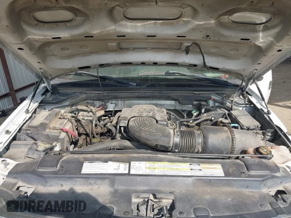 ✅ 2000 Ford F-150 XL • VIN: 1FTRX17W2YKB10745 • Lot: 43705083. Listed on IAAI with Not provided. Free auction sales archive from the USA and detailed vehicle history report at DreamBid. Image 10.