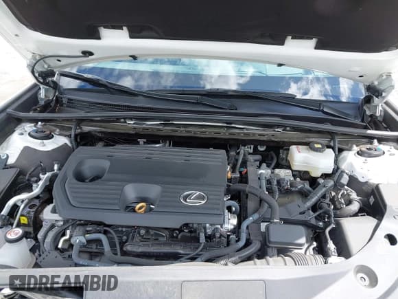 ✅ 2024 Lexus ES 300h Luxury • VIN: 58AEA1C15RU040758 • Lot: 42335120. Listed on IAAI with 20,691 mi. Free auction sales archive from the USA and detailed vehicle history report at DreamBid. Image 10.