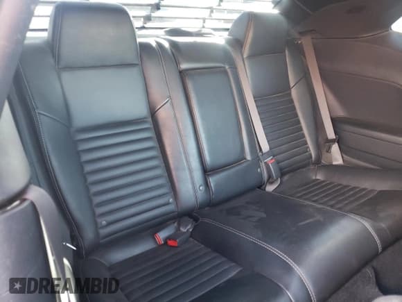 ✅ 2009 Dodge Challenger R/T • VIN: 2B3LJ54T49H579922 • Lot: 85990124. Wystawiony na Copart z przebiegiem 137 613 mil. Bezpłatny archiwum sprzedaży aukcyjnych z USA i szczegółowy raport historii pojazdu na DreamBid. Zdjęcie 10.