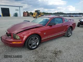 ✅ 2009 Ford Mustang GT • VIN: 1ZVHT82H495102748 • Лот: 81462025. Опубликован ранее на Copart с пробегом 188 368 миль. Бесплатный доступ к архиву аукционных продаж из США и подробный отчёт об истории автомобиля на DreamBid. Изображение 1.