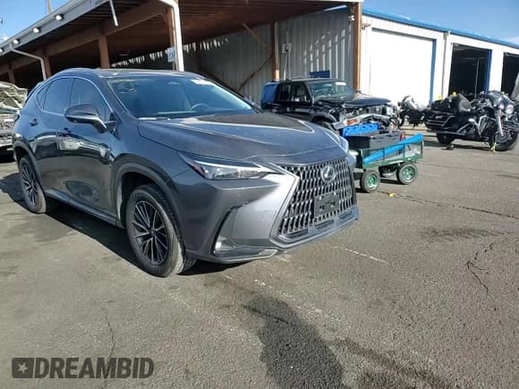 ✅ 2024 Lexus NX 350h Premium • VIN: 2T2GKCEZ9RC019792 • Lot: 54013375. Listed on Copart with 12,933 mi. Free auction sales archive from the USA and detailed vehicle history report at DreamBid. Image 14.