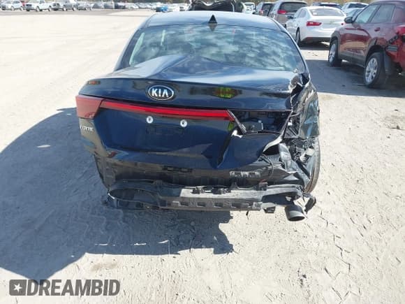 ✅ 2019 Kia Forte LXS • VIN: 3KPF24AD4KE017410 • Lot: 43480163. Listed on IAAI with 95,014 mi. Free auction sales archive from the USA and detailed vehicle history report at DreamBid. Image 6.