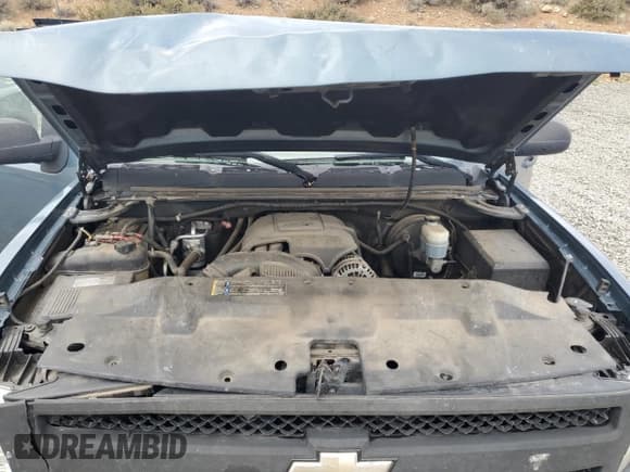 ✅ 2010 Chevrolet Silverado 1500 Work Truck • VIN: 1GCSKPEA2AZ159578 • Lot: 82468335. Listed on Copart with 172,833 mi. Free auction sales archive from the USA and detailed vehicle history report at DreamBid. Image 11.