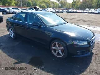 ✅ 2011 Audi A4 Premium Plus • VIN: WAUHFAFL0BN019952 • Lot: 43251077. Listed on IAAI with 125,277 mi. Free auction sales archive from the USA and detailed vehicle history report at DreamBid. Image 1.