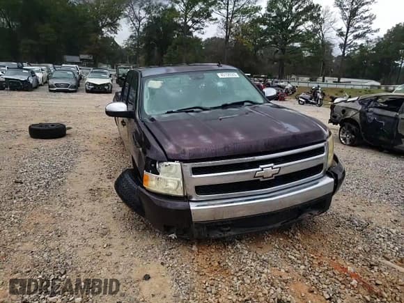 ✅ 2008 Chevrolet Silverado 1500 1LT • VIN: 2GCEC130081124610 • Lot: 45158565. Wystawiony na Copart z przebiegiem 327 843 mil. Bezpłatny archiwum sprzedaży aukcyjnych z USA i szczegółowy raport historii pojazdu na DreamBid. Zdjęcie 11.