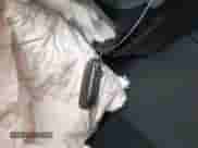 2023 Honda Accord EX-L с VIN 1HGCY2F6XPA020937, выставлен на аукционе IAAI как лот 42879788 с пробегом 53 948 миль миль и . История ставок и продаж доступна на DreamBid. Изображение 11.