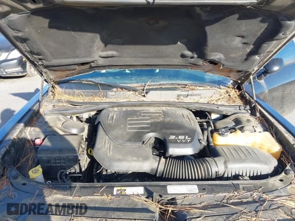 ✅ 2014 Dodge Challenger SXT • VIN: 2C3CDYAG7EH304459 • Lot: 43682366. Listed on IAAI with 197,016 mi. Free auction sales archive from the USA and detailed vehicle history report at DreamBid. Image 10.